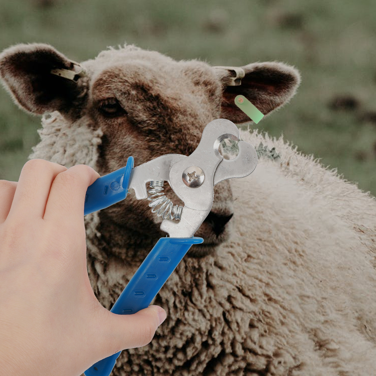 Livestock Ear Tag - 1 قطعة، أداة إزالة علامات الأذن،