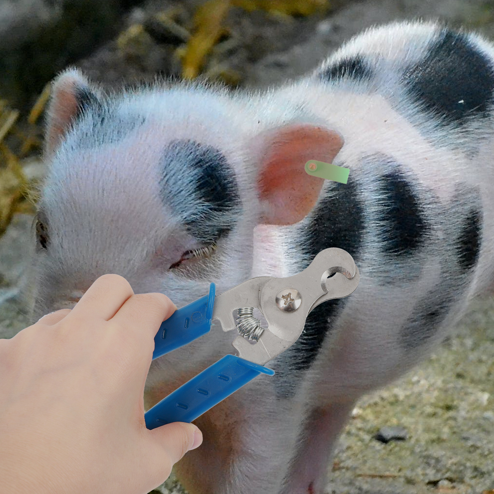 1 قطعة، أداة إزالة علامات الأذ - مراجعة Livestock Ear Tag وسعره