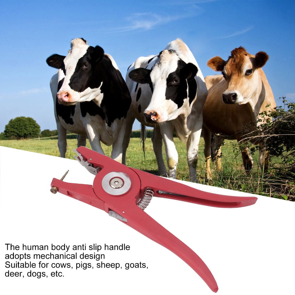 كماشة أذن للماشية من السبائك ا - مراجعة Livestock Ear Tag وسعره