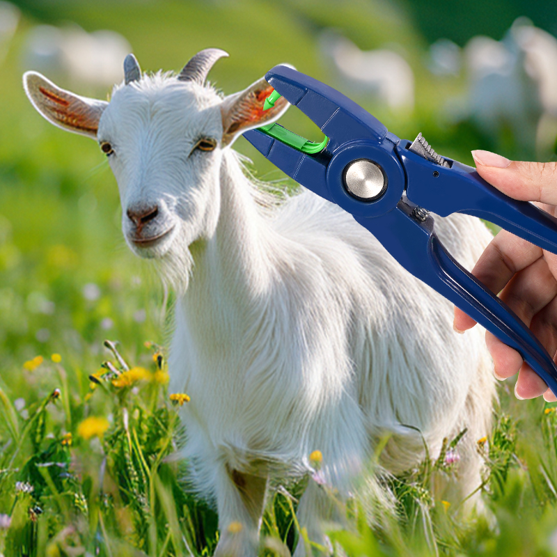 100 قطعة علامة أذن الأغنام الم - مراجعة Livestock Ear Tag وسعره