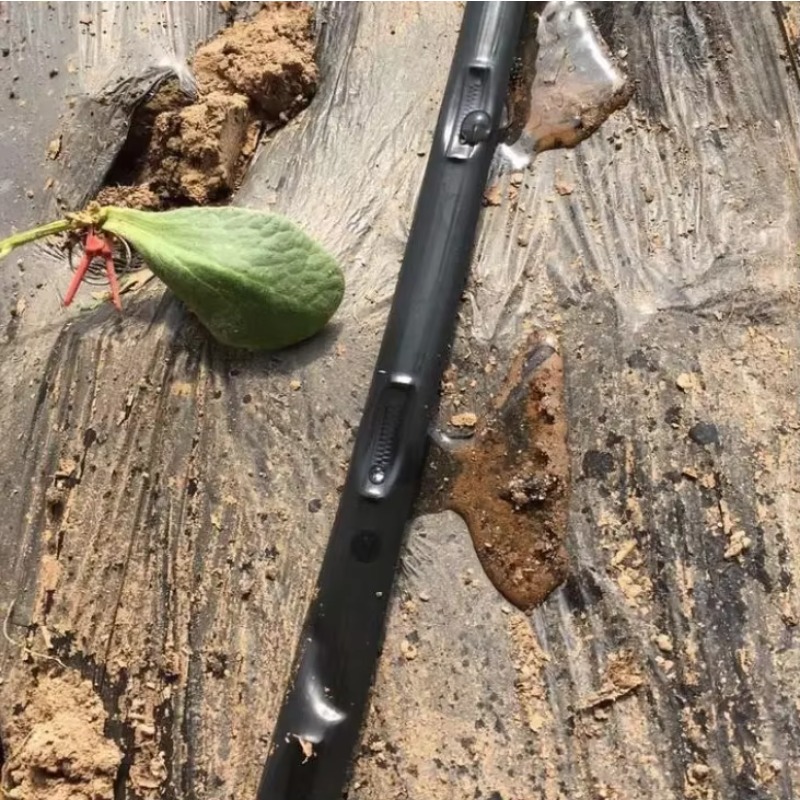 سعر المصنع: 1 تصميم نظام الري  - مراجعة Farming Agriculture & Cooking وسعره