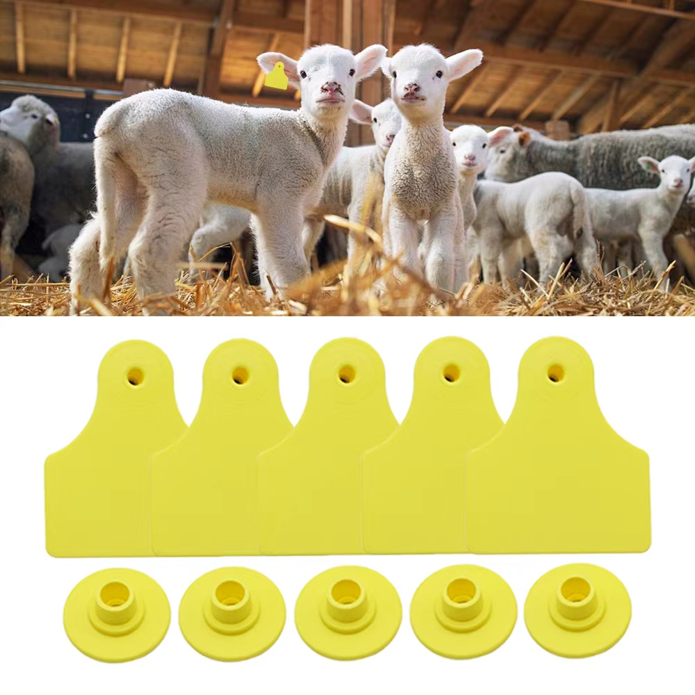 20 قطعة من علامات الأذن الفارغ - مراجعة Livestock Ear Tag وسعره